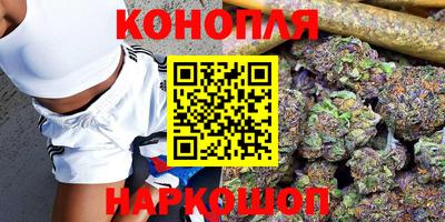 индика Моздок