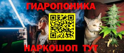 молекула духа Можайск
