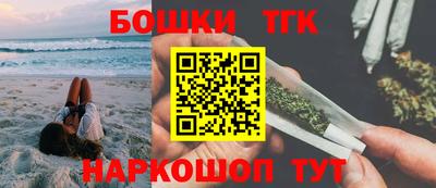 индика Моздок