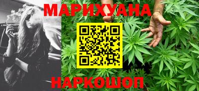 индика Моздок