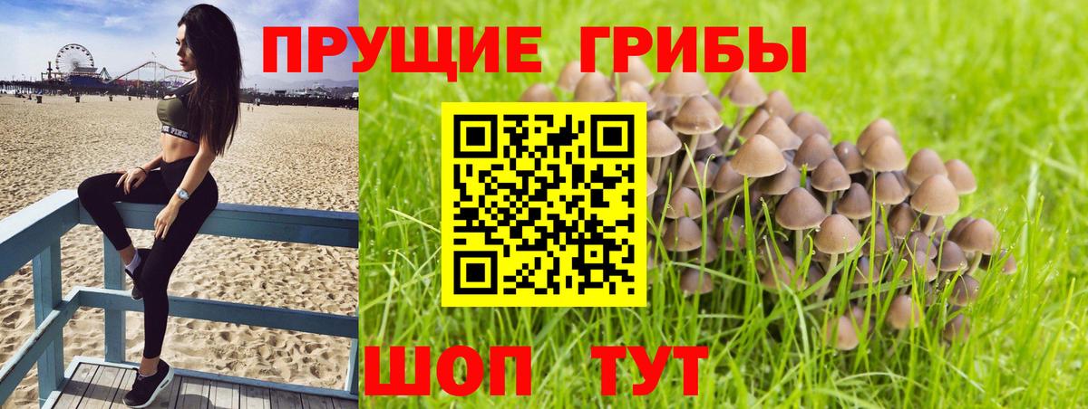 Солнечногорск  Псилоцибиновые грибы ЛСД  Вход с VPN 